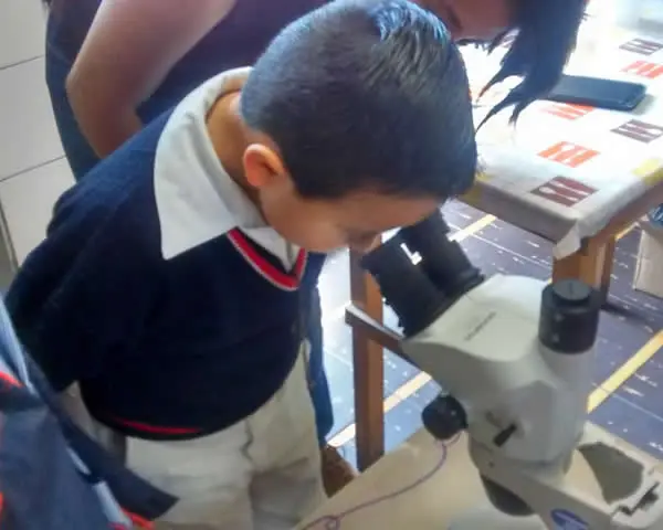 Niños haciendo experimento de ciencias