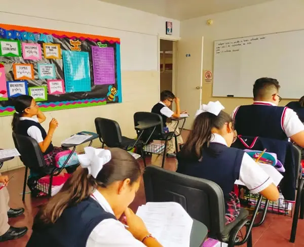 Estudiantes de primaria trabajando con su maestra